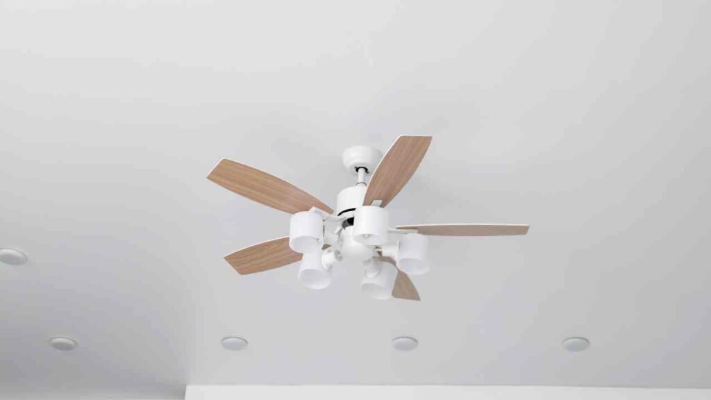 Ceiling Fan repair Colorado Springs